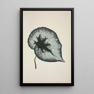 George De Alwis - Mon Jardin a Ceylan Pl168.webp