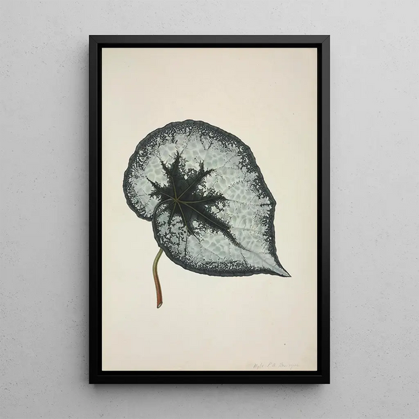My Garden in Ceylon Pl168 - George De Alwis — framed artwork on a wall