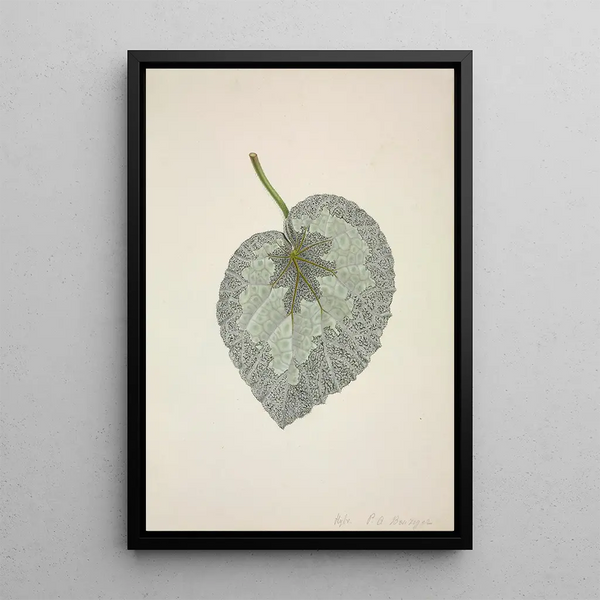 Mon Jardin à Ceylan Pl169 - George De Alwis — framed artwork on a wall