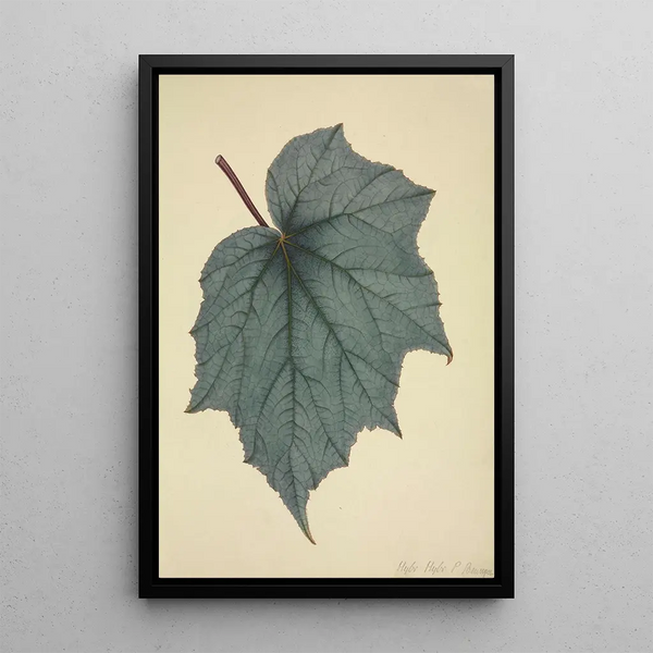 My Garden in Ceylon Pl171 - George De Alwis — framed artwork on a wall
