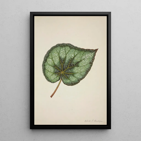 Mon Jardin à Ceylan Pl172 - George De Alwis — framed artwork on a wall