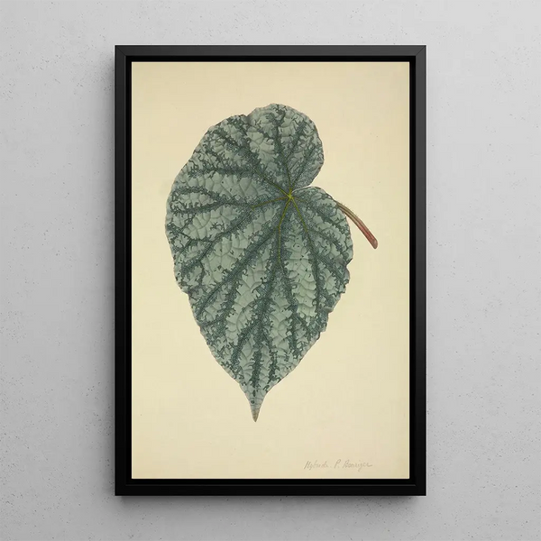 Mon Jardin à Ceylan Pl173 - George De Alwis — framed artwork on a wall