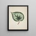 Mon Jardin à Ceylan Pl174 - George De Alwis — framed artwork on a wall