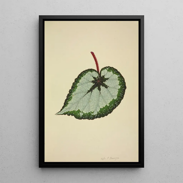 Mon Jardin à Ceylan Pl178 - George De Alwis — framed artwork on a wall