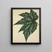 My Garden in Ceylon Pl180 - George De Alwis — framed artwork on a wall