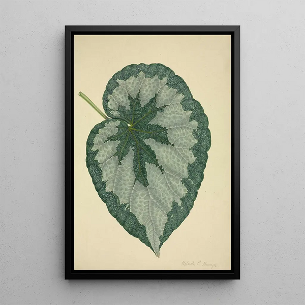 Mon Jardin à Ceylan Pl181 - George De Alwis — framed artwork on a wall