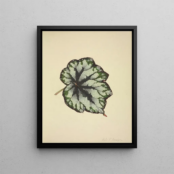 Mon Jardin à Ceylan Pl182 - George De Alwis — framed artwork on a wall