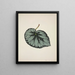 Mon Jardin à Ceylan Pl184 - George De Alwis — framed artwork on a wall