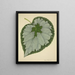 Mon Jardin à Ceylan Pl186 - George De Alwis — framed artwork on a wall