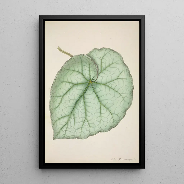 Mon Jardin à Ceylan Pl188 - George De Alwis — framed artwork on a wall