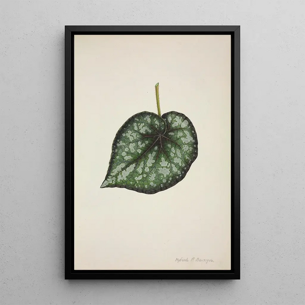 Mon Jardin à Ceylan Pl189 - George De Alwis — framed artwork on a wall