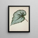 My Garden in Ceylon Pl190 - George De Alwis — framed artwork on a wall