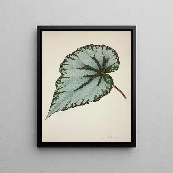 My Garden in Ceylon Pl190 - George De Alwis — framed artwork on a wall