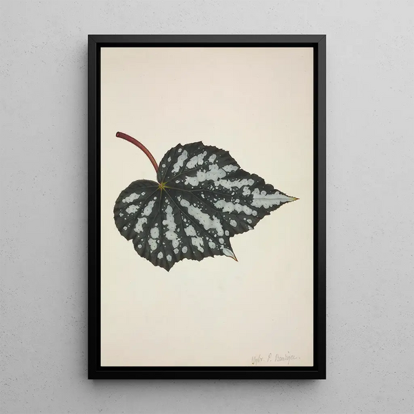 Mon Jardin à Ceylan Pl191 - George De Alwis — framed artwork on a wall