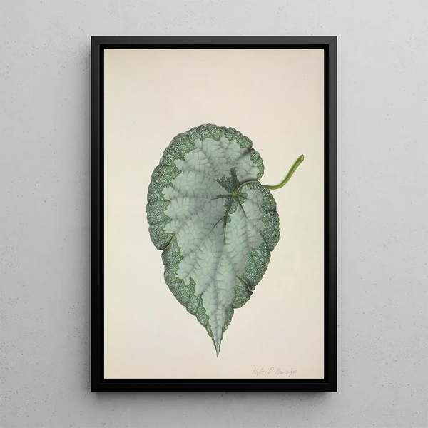 Mon Jardin à Ceylan Pl192 - George De Alwis — framed artwork on a wall