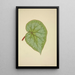 Mon Jardin à Ceylan Pl193 - George De Alwis — framed artwork on a wall