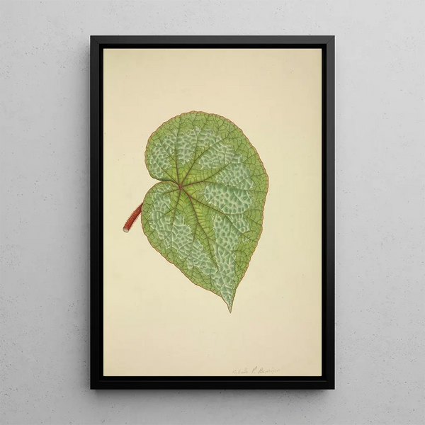 Mon Jardin à Ceylan Pl193 - George De Alwis — framed artwork on a wall