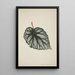 Mon Jardin à Ceylan Pl194 - George De Alwis — framed artwork on a wall