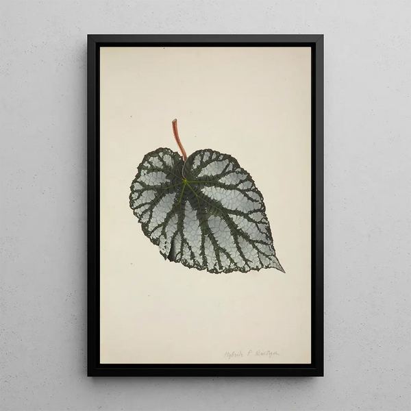 Mon Jardin à Ceylan Pl194 - George De Alwis — framed artwork on a wall