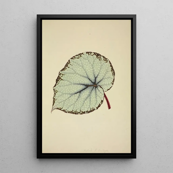 Mon Jardin à Ceylan Pl195 - George De Alwis — framed artwork on a wall