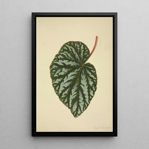 Mon Jardin à Ceylan Pl196 - George De Alwis — framed artwork on a wall