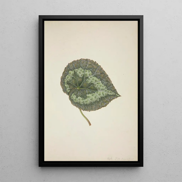 Mon Jardin à Ceylan Pl197 - George De Alwis — framed artwork on a wall