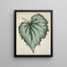 Mon Jardin à Ceylan Pl198 - George De Alwis — framed artwork on a wall