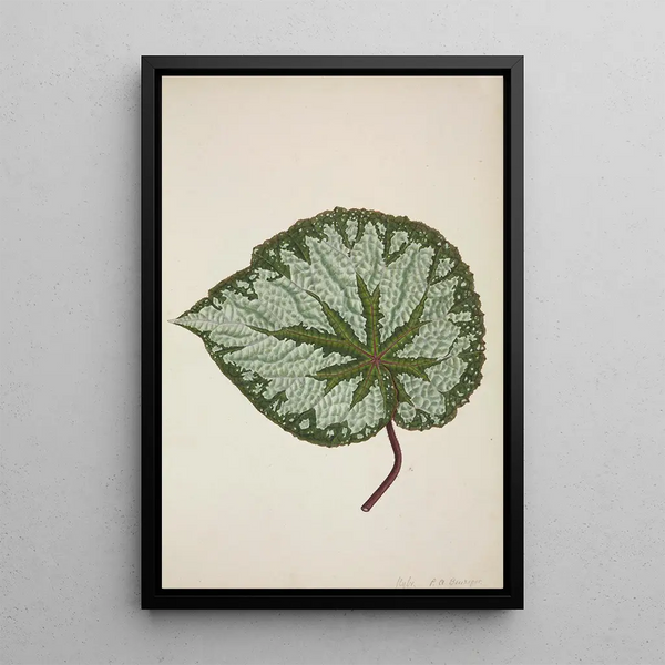 Mon Jardin à Ceylan Pl199 - George De Alwis — framed artwork on a wall
