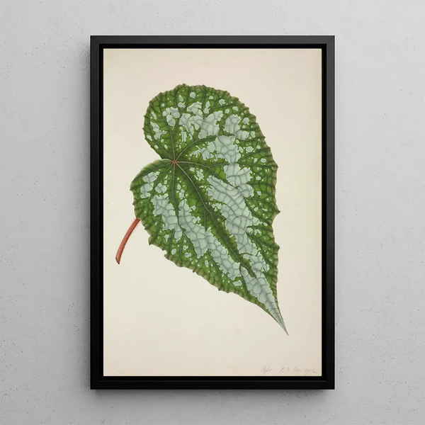 Mon Jardin à Ceylan Pl201 - George De Alwis — framed artwork on a wall