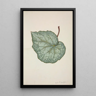 George De Alwis - Mon Jardin a Ceylan Pl202.webp