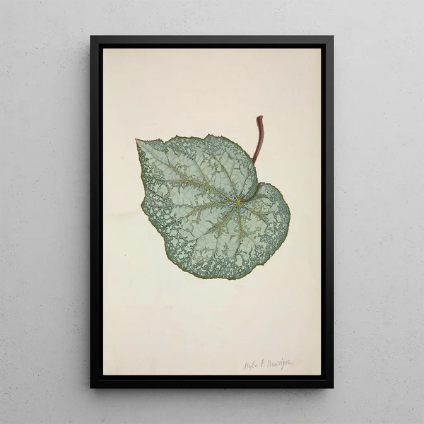 Mon Jardin à Ceylan Pl202 - George De Alwis — framed artwork on a wall