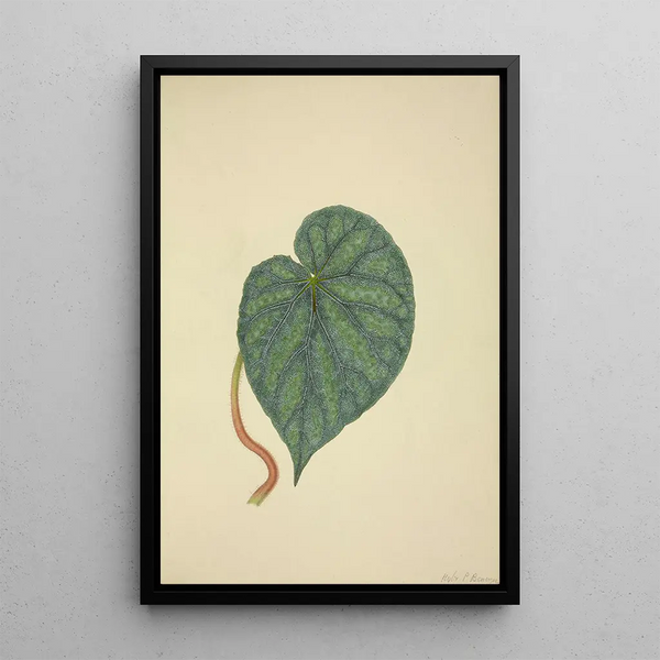 Mon Jardin à Ceylan Pl204 - George De Alwis — framed artwork on a wall