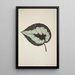 My Garden in Ceylon Pl205 - George De Alwis — framed artwork on a wall