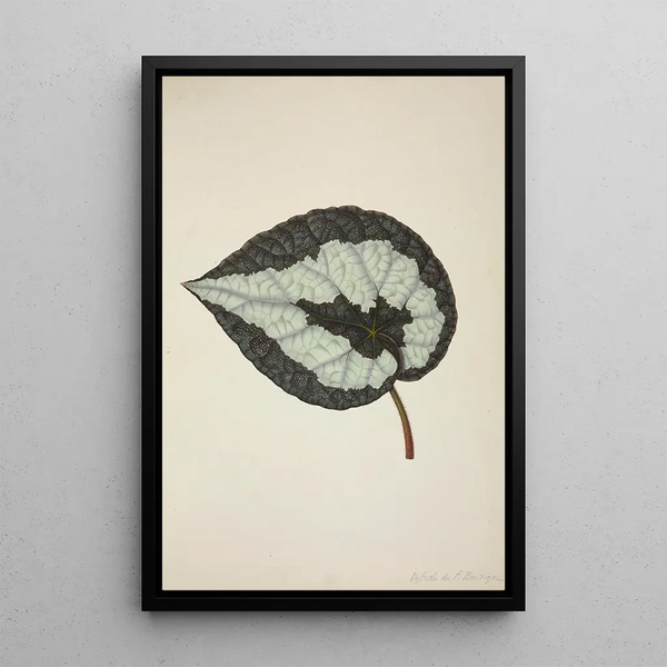 My Garden in Ceylon Pl205 - George De Alwis — framed artwork on a wall