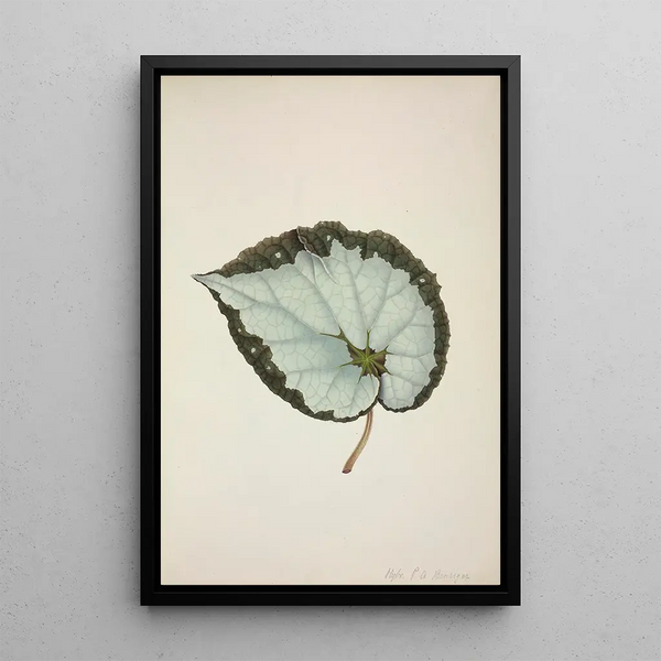 Mon Jardin à Ceylan Pl206 - George De Alwis — framed artwork on a wall