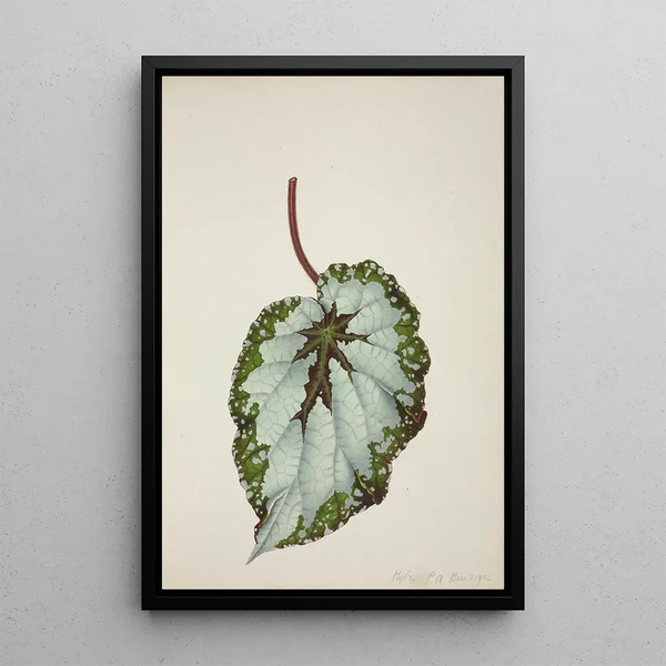 Mon Jardin à Ceylan Pl207 - George De Alwis — framed artwork on a wall