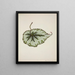 Mon Jardin à Ceylan Pl208 - George De Alwis — framed artwork on a wall