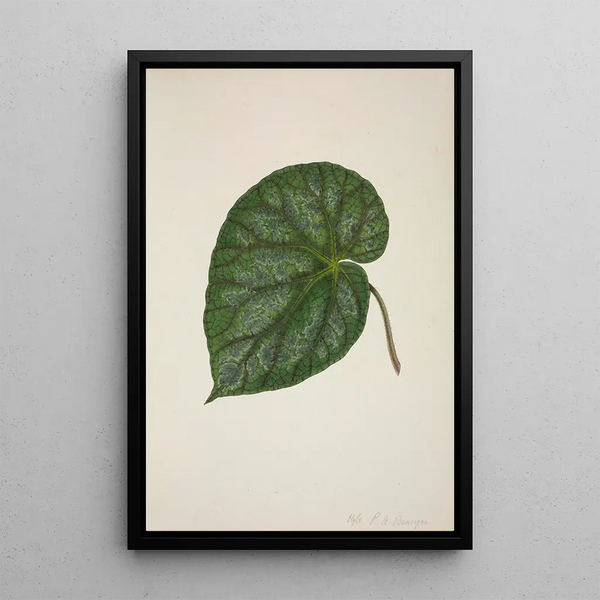 Mon Jardin à Ceylan Pl209 - George De Alwis — framed artwork on a wall