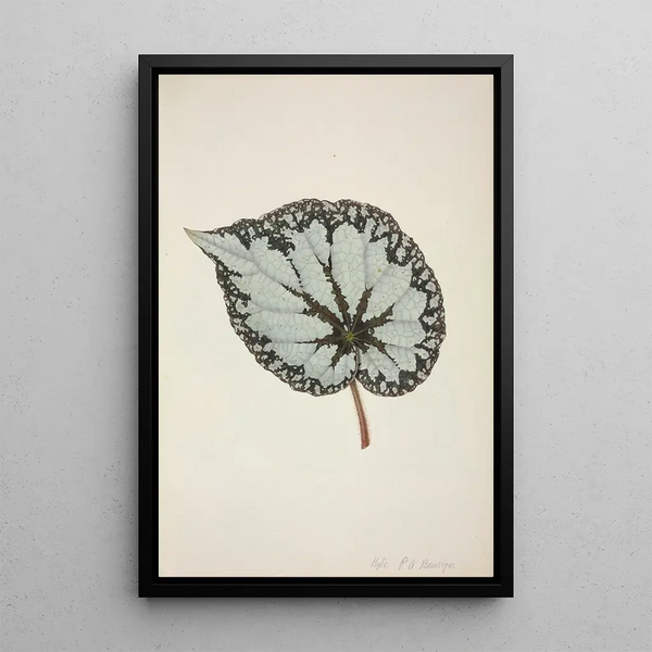 Mon Jardin à Ceylan Pl210 - George De Alwis — framed artwork on a wall