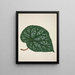 My Garden in Ceylon Pl211 - George De Alwis — framed artwork on a wall