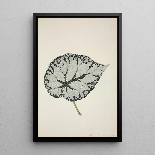 Mon Jardin à Ceylan Pl212 - George De Alwis — framed artwork on a wall