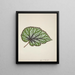 Mon Jardin à Ceylan Pl213 - George De Alwis — framed artwork on a wall