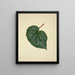 Mon Jardin à Ceylan Pl214 - George De Alwis — framed artwork on a wall