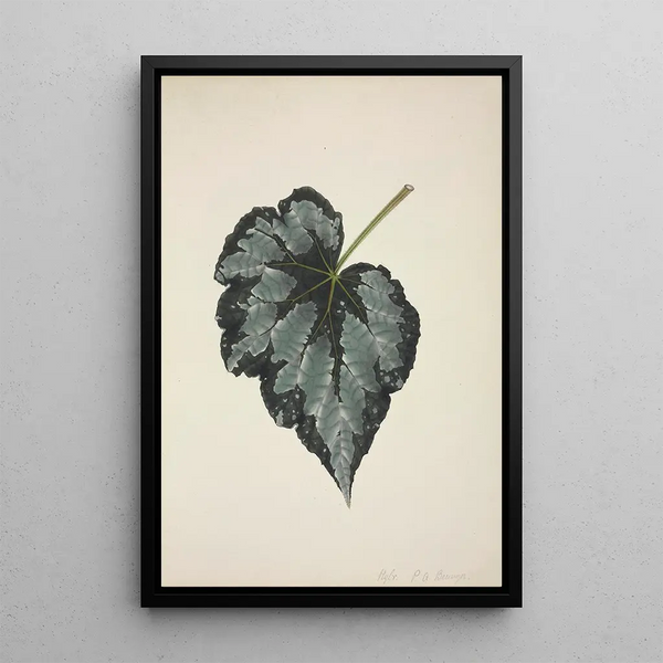 Mon Jardin à Ceylan Pl215 - George De Alwis — framed artwork on a wall