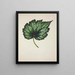 My Garden in Ceylon Pl216 - George De Alwis — framed artwork on a wall