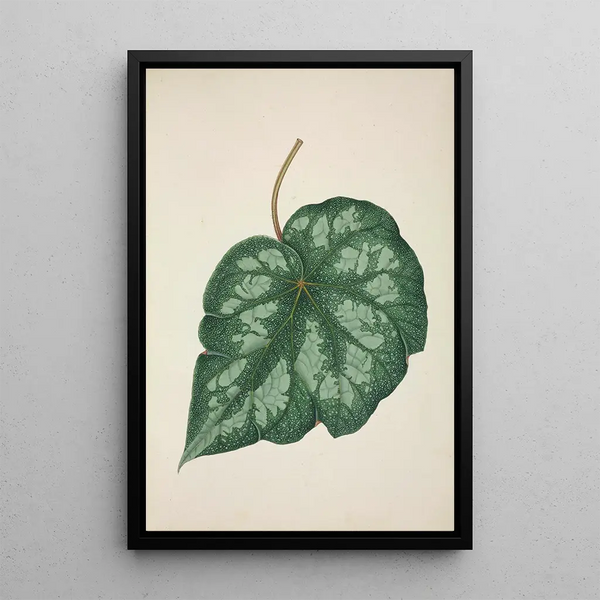 Mon Jardin à Ceylan Pl218 - George De Alwis — framed artwork on a wall