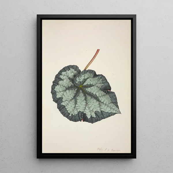 Mon Jardin à Ceylan Pl219 - George De Alwis — framed artwork on a wall