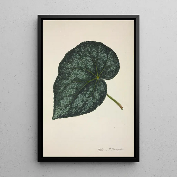 Mon Jardin à Ceylan Pl221 - George De Alwis — framed artwork on a wall