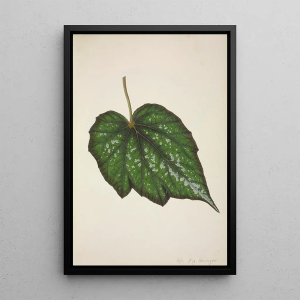 Mon Jardin à Ceylan Pl222 - George De Alwis — framed artwork on a wall