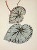 Mon Jardin à Ceylan Pl224 - George De Alwis — artwork view